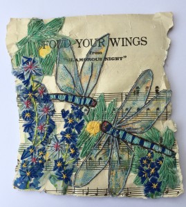 Dragonfly Fold Your Wings